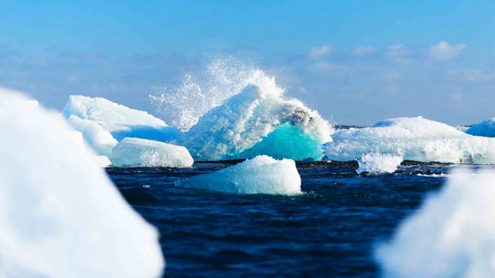 Молодых исследователей Арктики и Антарктики из России ждут на профессиональном конкурсе