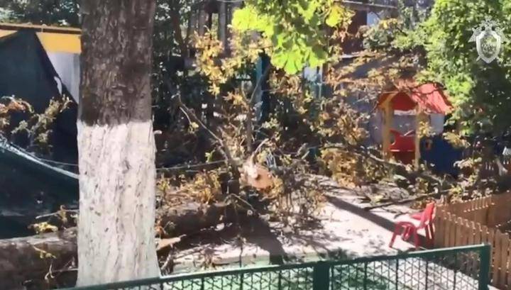 Убившее девочку дерево в Краснодаре мог "срубить" тент от солнца