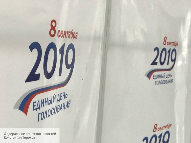 Кандидат от ЛДПР опровергла подкуп избирателей на Васильевском острове