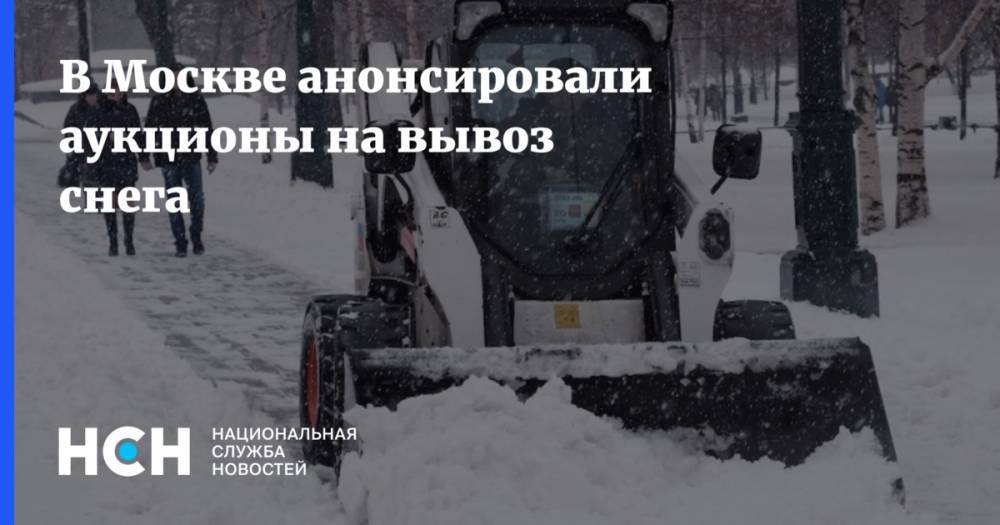 В Москве анонсировали аукционы на вывоз снега