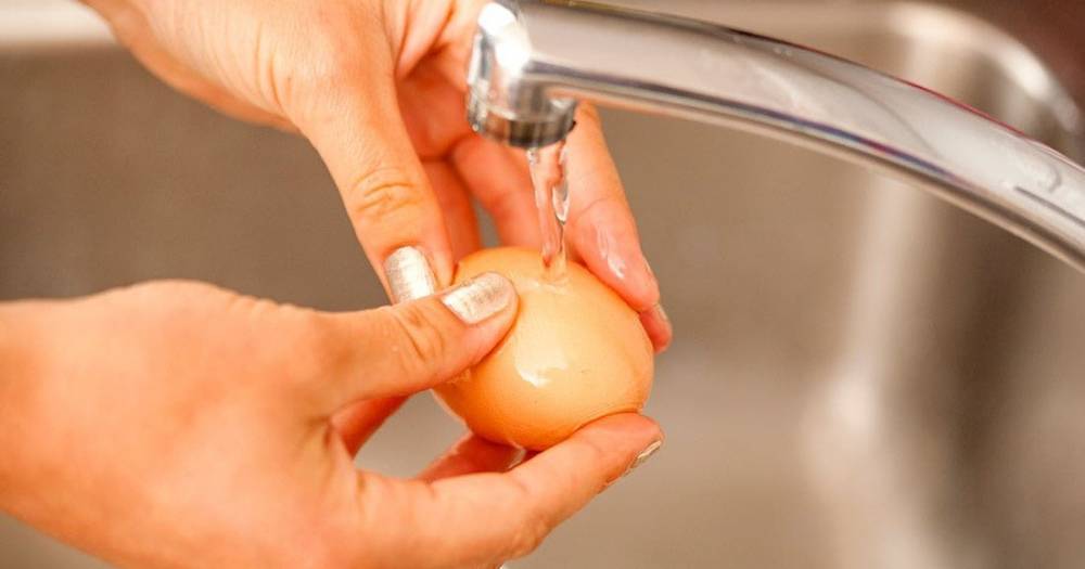 «Роскачество» не&nbsp;советует мыть яйца