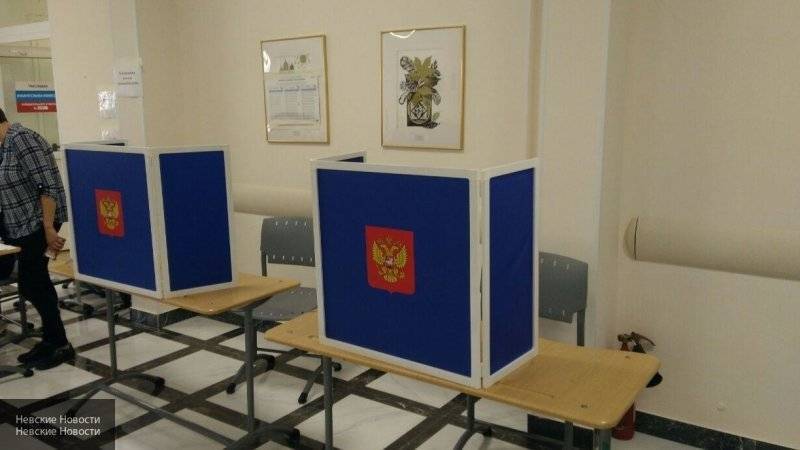 "Оппозиция" устроила идиотскую погоню за урной для надомного голосования в Петербурге