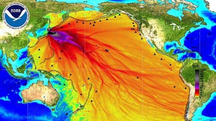 Руководство «Фукусимы» намерено слить радиоактивную воду в океан