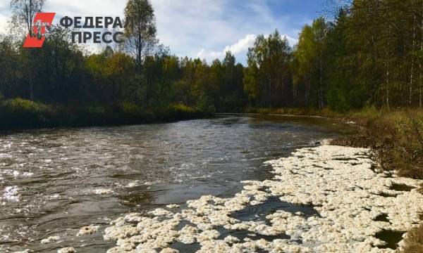 На Среднем Урале вблизи карьеров УГМК увеличилось число мертвых деревьев