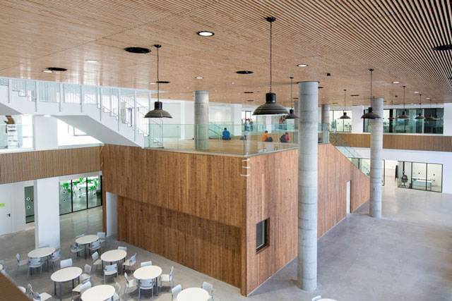 Самая роскошная школа в Израиле: так выглядит новое здание "Шевах-Мофет"