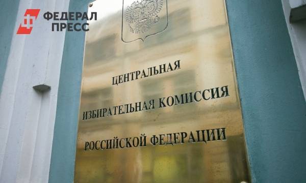 Центризбирком опубликовал новую информацию о выборах в Северной столице
