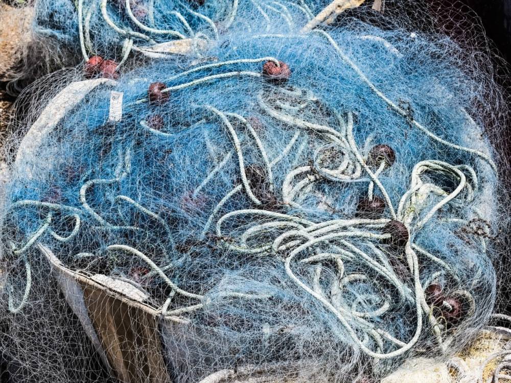 Под суд пойдет пойдет рыбак-браконьер в Оленегорске