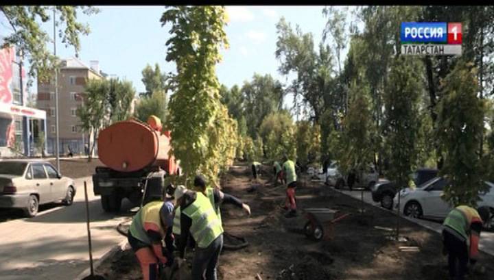 Полтора миллиона деревьев высадят в Татарстане во время "Недели леса"