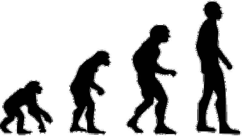 Протоиерей Смирнов заявил, что&nbsp;теория&nbsp;эволюции «совершенно ненаучна»