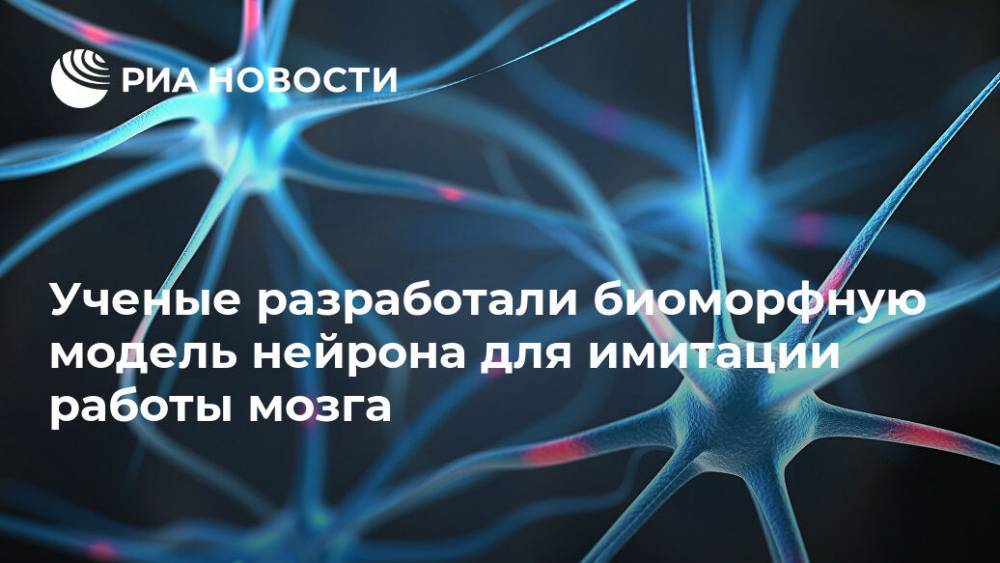 Ученые разработали биоморфную модель нейрона для имитации работы мозга