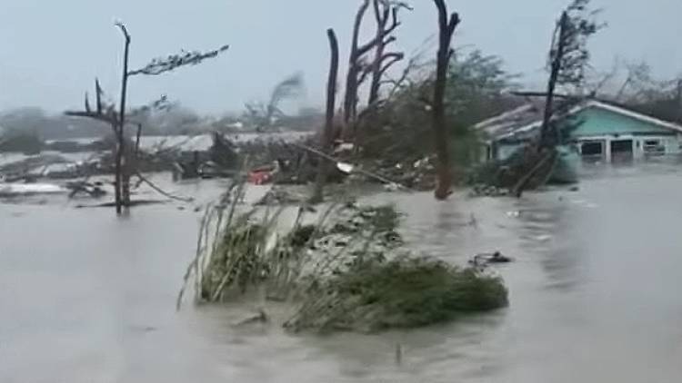 США выдадут жителям пострадавших от урагана Багамских островов визы