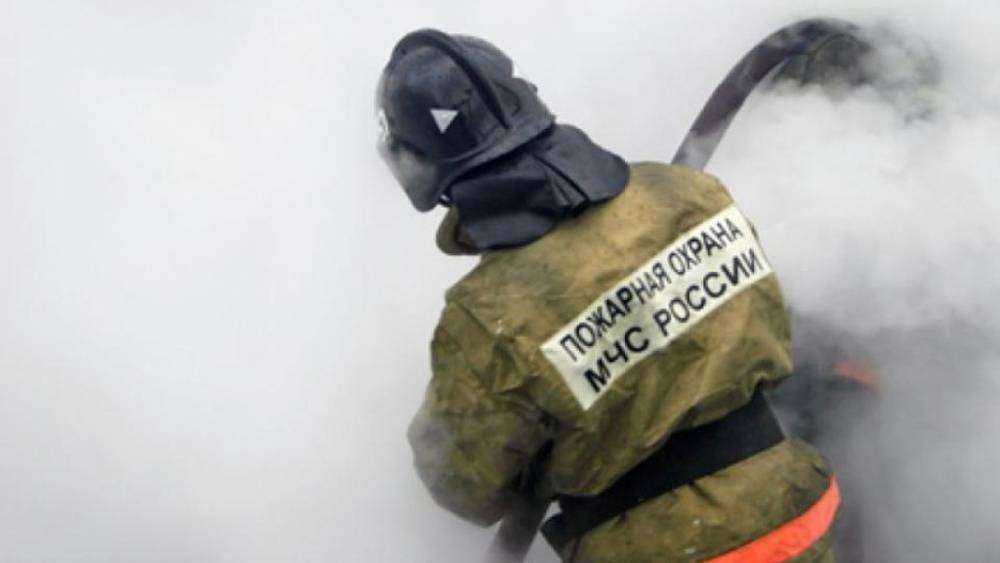 Пожарные ликвидировали возгорание в Сосновом Бору