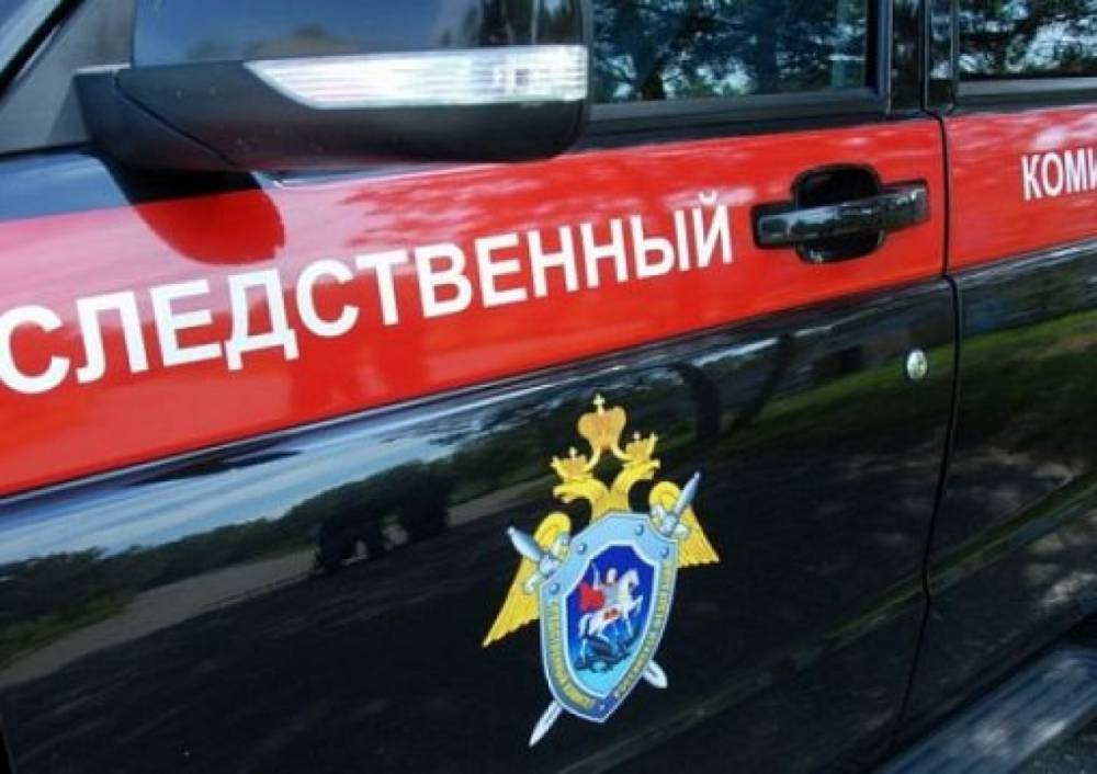 Следователи возбудили еще одно уголовное дело после пропажи девочки в селе Красное