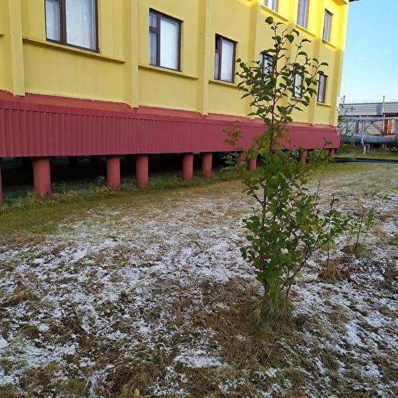 На Ямале выпал первый этой осенью снег