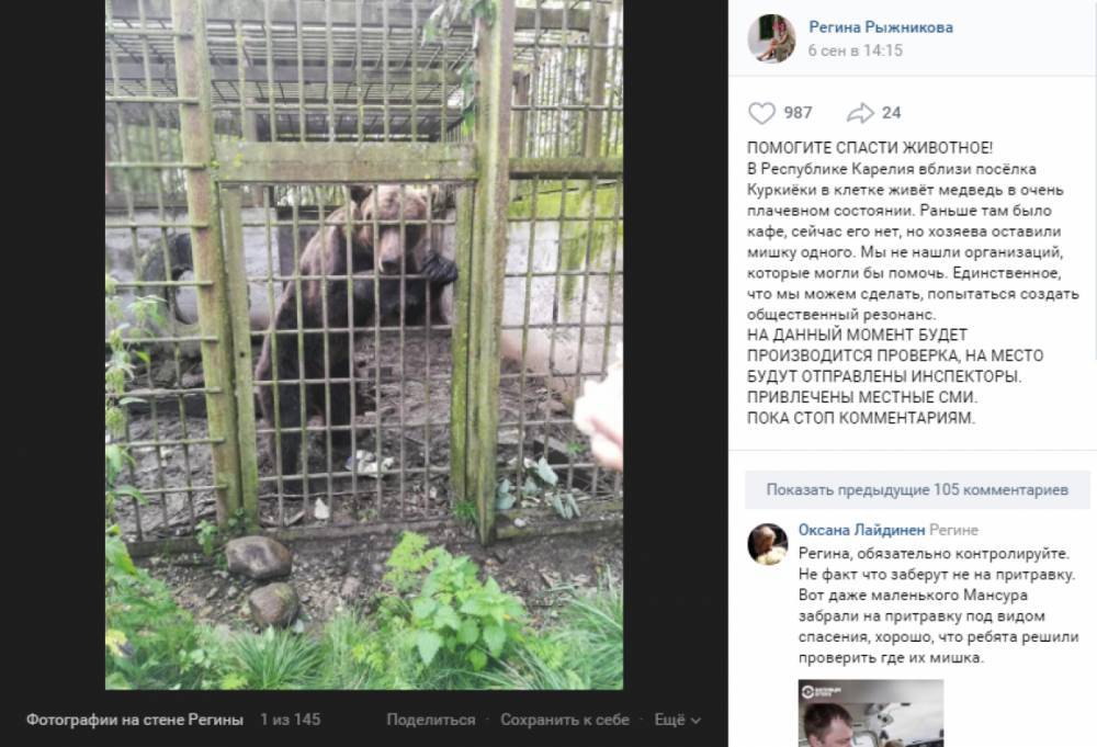 Минприроды Карелии проверит данные о медведе, которого хотят спасти пользователи соцсетей