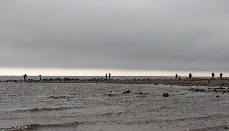 Археологи изучат неолитическую стоянку на берегу Финского залива