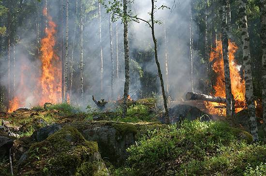 Все лесные пожары в Иркутской области потушены