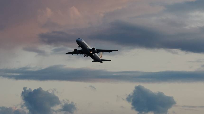 Стая диких гусей прервала полет Boeing-737 в Шотландии