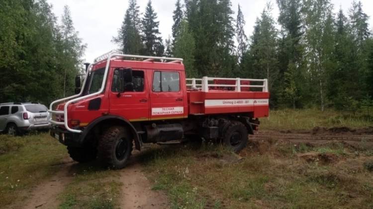 Лесные пожары в заповедниках России полностью потушены