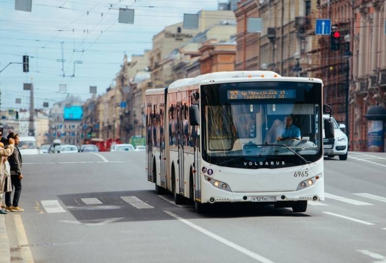 Карту «культурных» маршрутов в Петербурге расширили до 13 автобусов