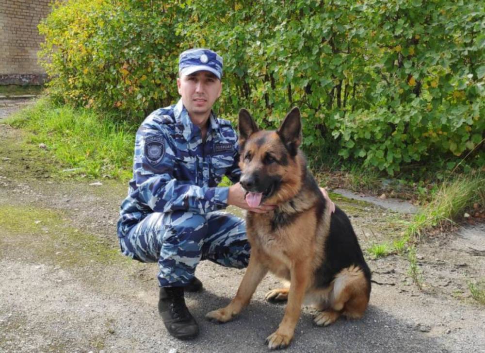 В Петербурге овчарка помогла полиции оперативно разыскать 10-летнего мальчика