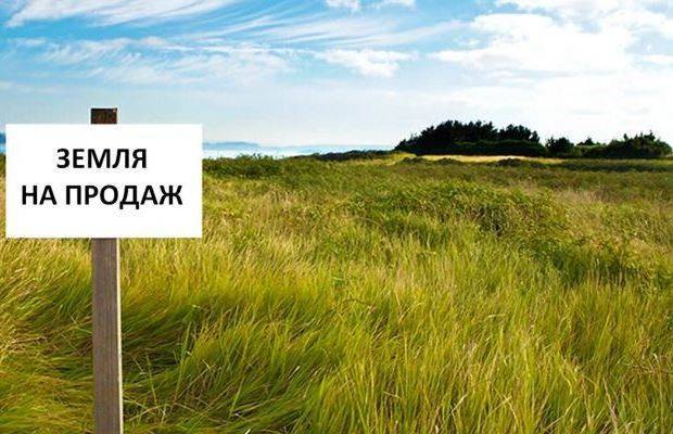 Rzeczpospolita: Главное – успеть купить украинские чернозёмы