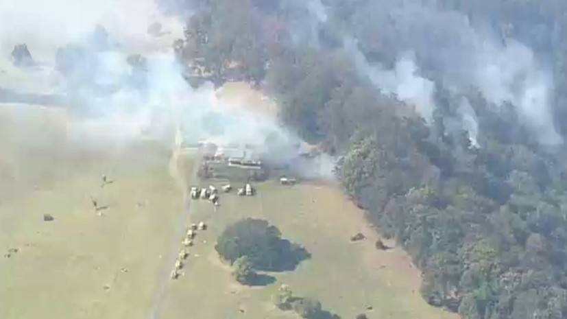 Лесные пожары в Австралии: спасатели ликвидируют более 100 очагов возгорания