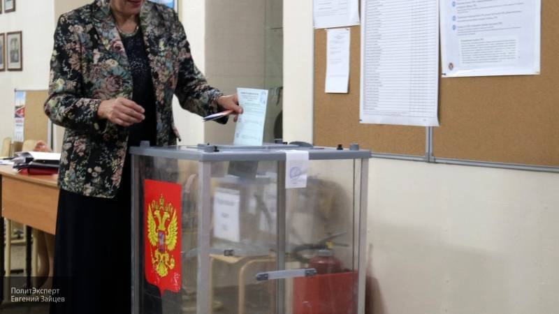 ЦИК поддержал работу горизбиркома Петербурга по устранению нарушений на выборах