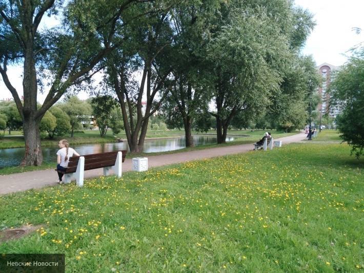 Беглов поручил благоустроить петербургский парк Малиновка