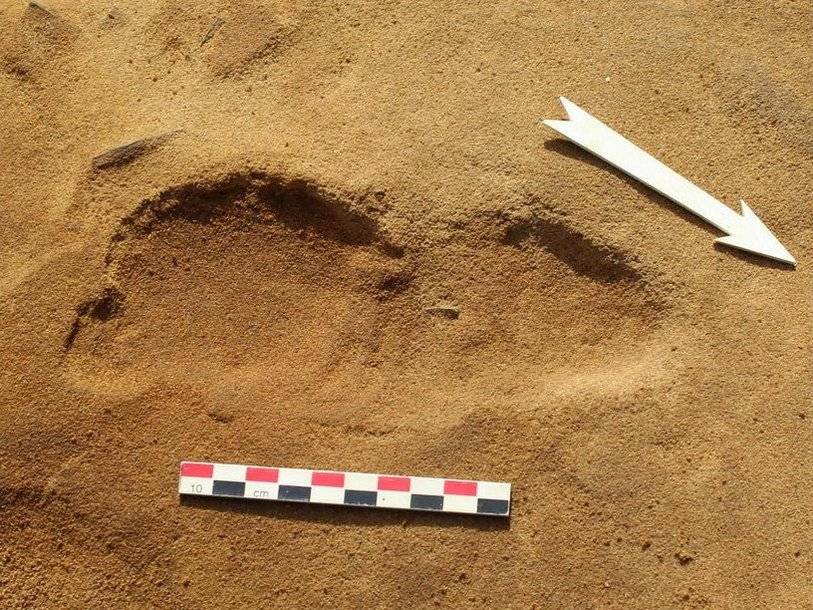 На севере Франции найдено 257 следов неандертальцев