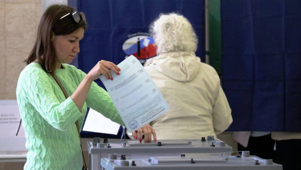 Эксперт высоко оценил прозрачность губернаторских выборов в Петербурге