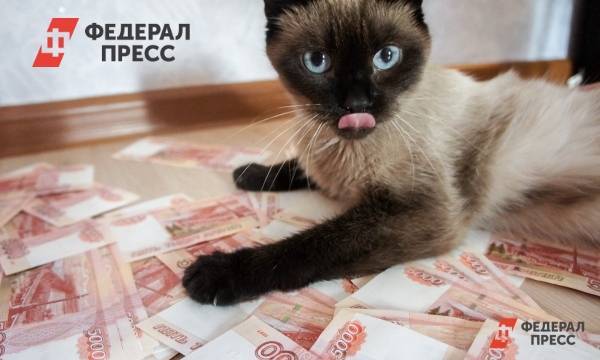 Властям Ульяновской области не хватает денег на пиар