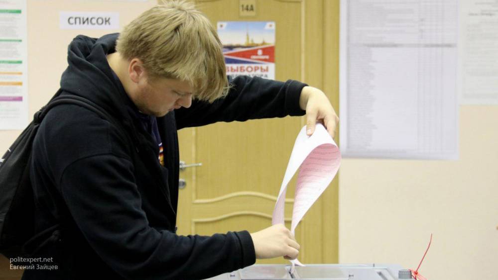 Чистоту выборов в Петербурге подтвердили в Общественной палате