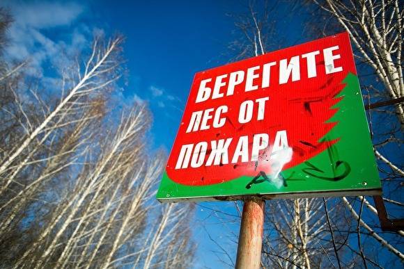 Власти Иркутской области отчитались о том, что в регионе потушены все лесные пожары
