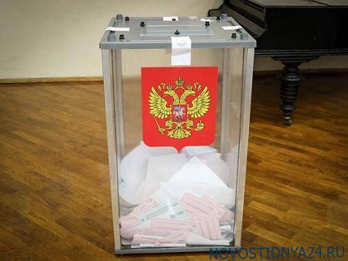 «Яблоко» передало Памфиловой сведения о нарушениях на выборах в Петербурге