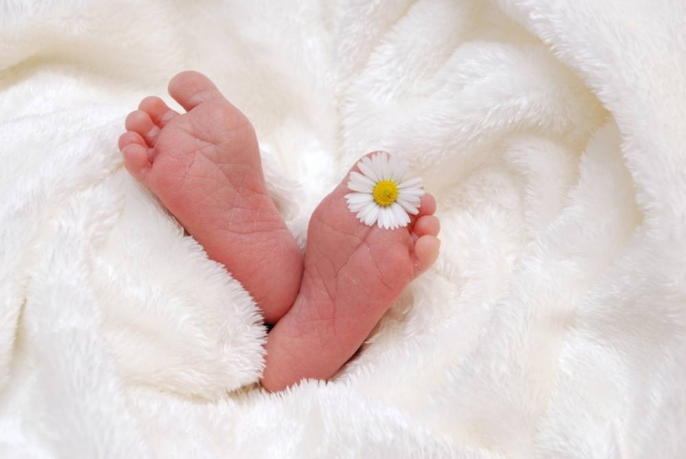 Петербургские власти изменили форму комплекта памятного знака для новорожденных