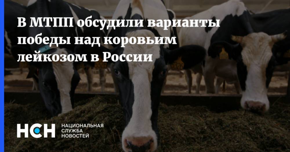 В МТПП обсудили варианты победы над коровьим лейкозом в России