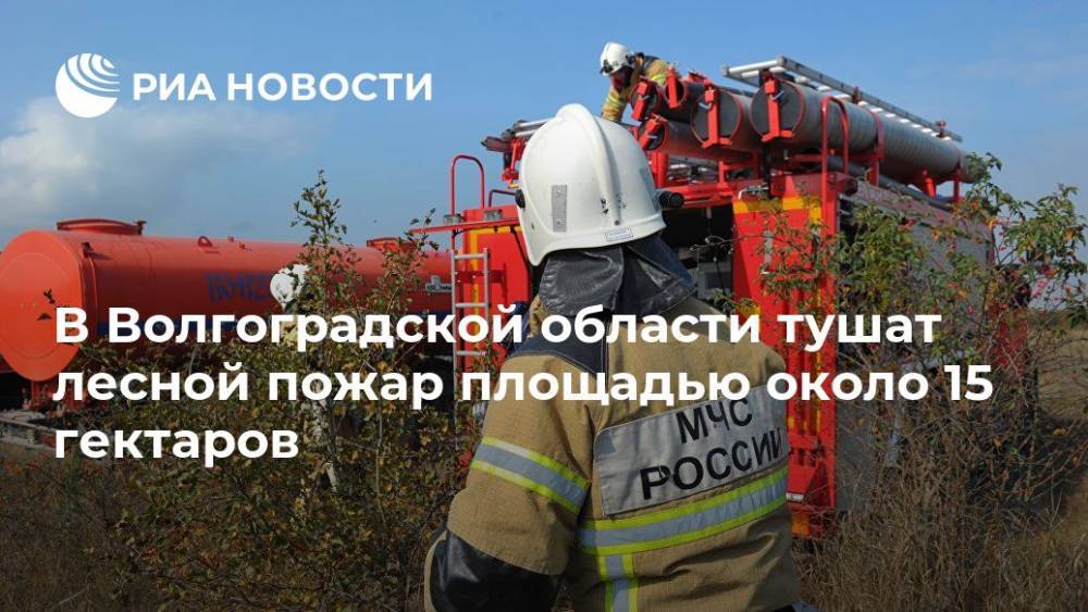 В Волгоградской области тушат лесной пожар площадью около 15 гектаров