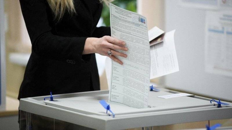Петербург поставил рекорд по минимальному числу жалоб на выборах главы