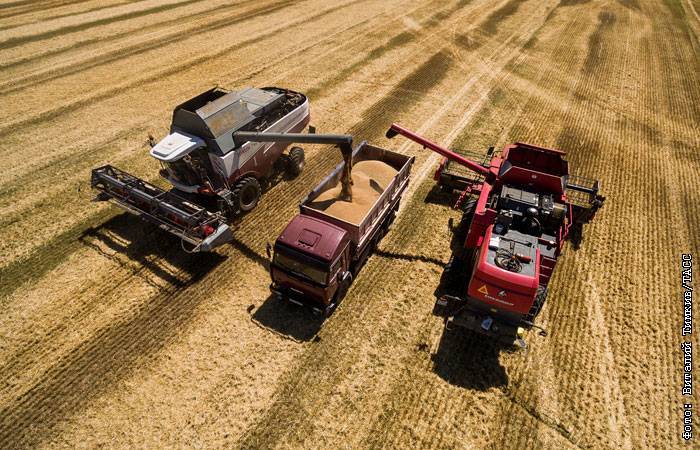 Ущерб сельскому хозяйству России от ЧС в 2019 году оценили в 9,5 млрд рублей