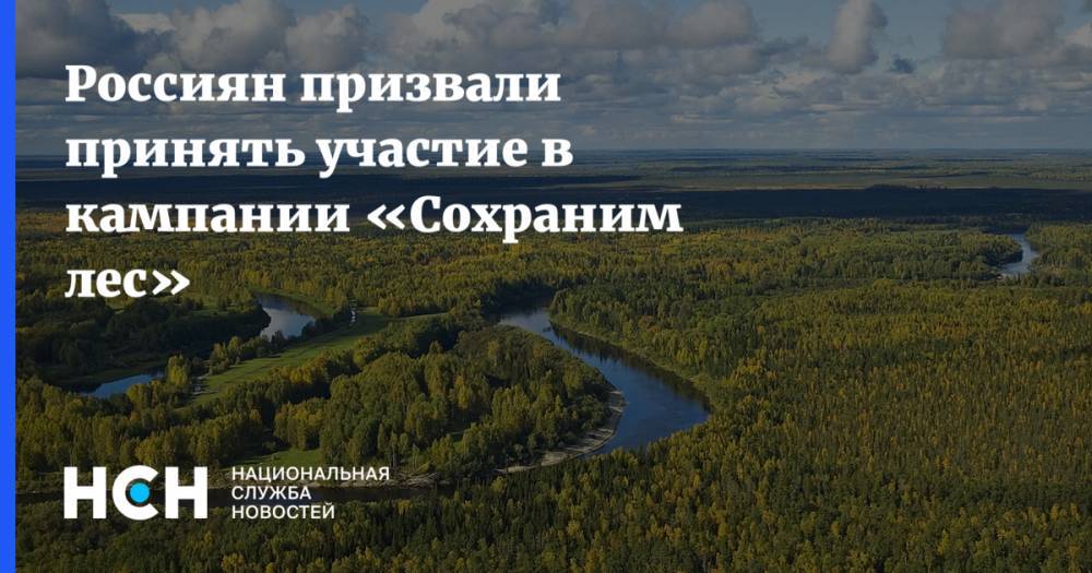 Россиян призвали принять участие в кампании «Сохраним лес»