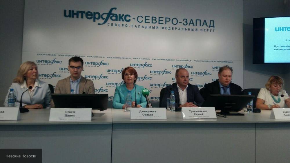 Дмитриева заявила, что губернаторские выборы в Петербурге прошли чисто
