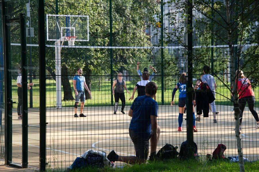 В парке "Дубки" появятся новые волейбольные площадки