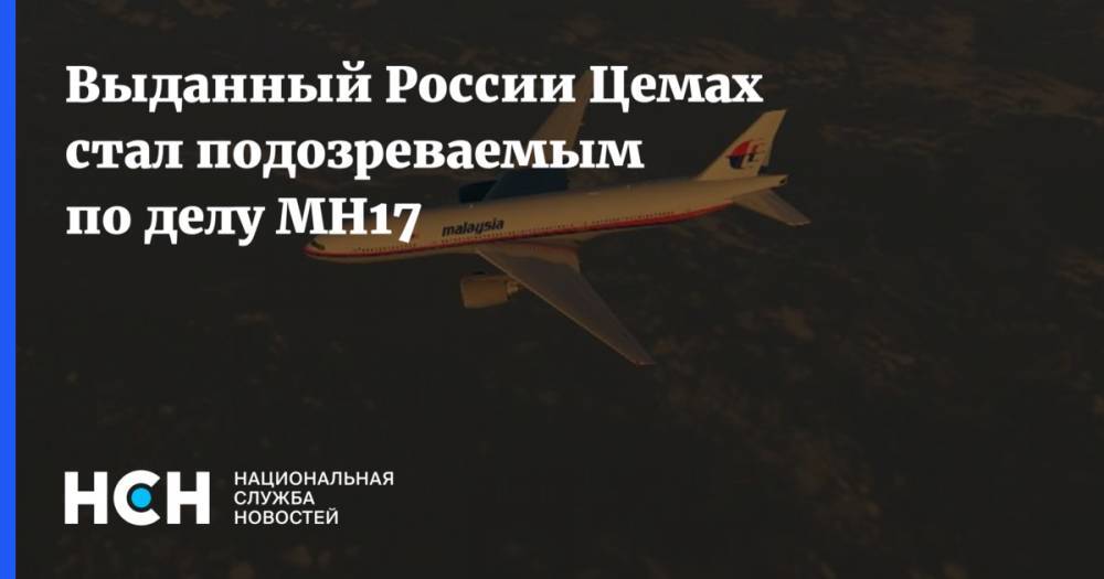 Выданного России Цемаха признали подозреваемым по делу MH17