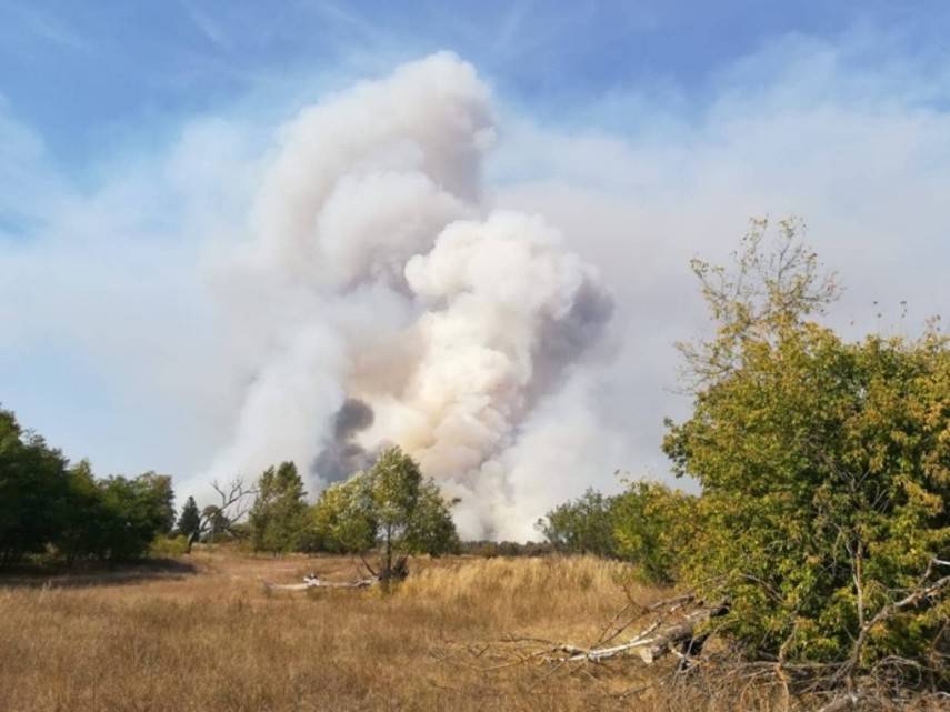 В Чернобыльской зоне уже сутки тушат лесной пожар (Фото)