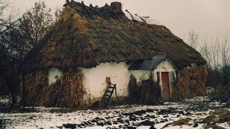 Бандитизм, убийства, исход: рынок земли запустит страшные процессы на украинском селе – эксперт