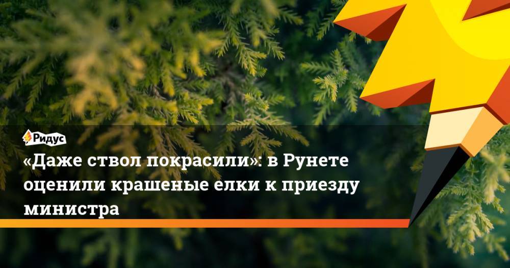 «Даже ствол покрасили»: в Рунете оценили крашеные елки к приезду министра
