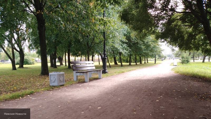 Петербуржцы смогут повлиять на благоустройство парка Малиновка