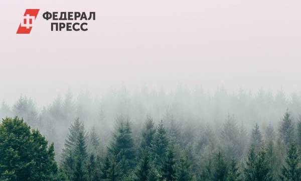 Никита Высоцкий, певица Зара и робот Promobot будут сажать деревья в Красноярском крае
