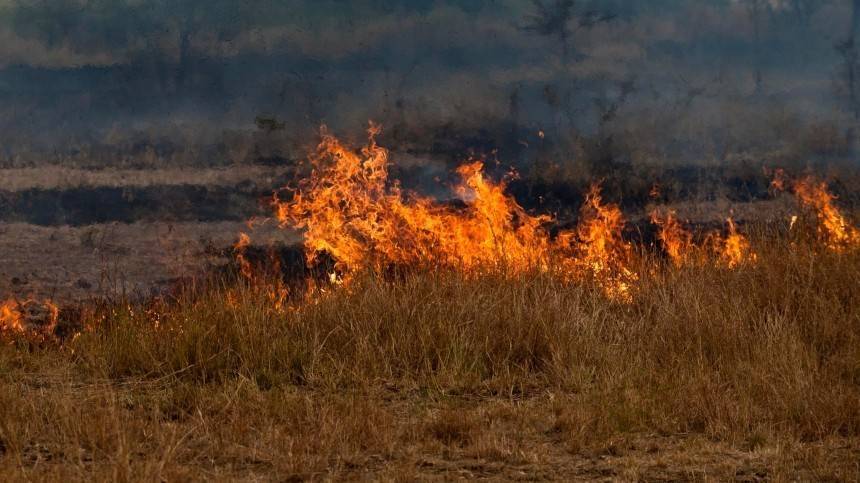 В Ростовской области борются с крупным степным пожаром